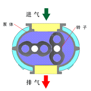 網(wǎng)站圖片10.20.png